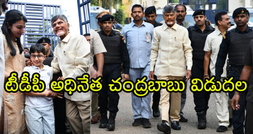 AP High Court grants interim bail to Chandrababu