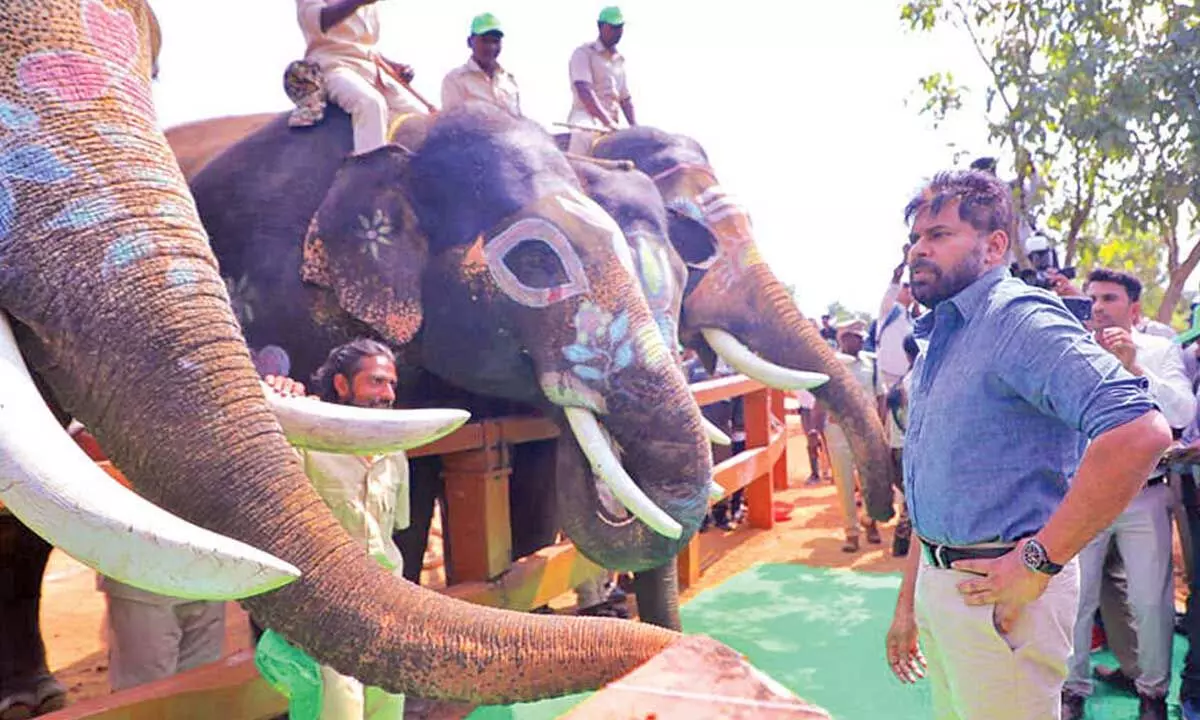 అసలు ‘కుంకీ’ ఏనుగులు అంటే ఏంటి..?